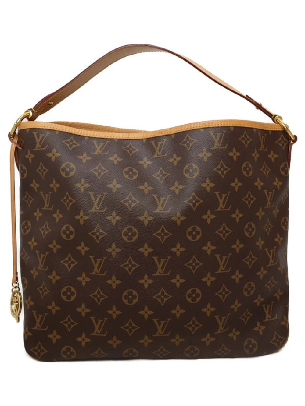 Louis Vuitton Monogram Delightful Hobo Bag